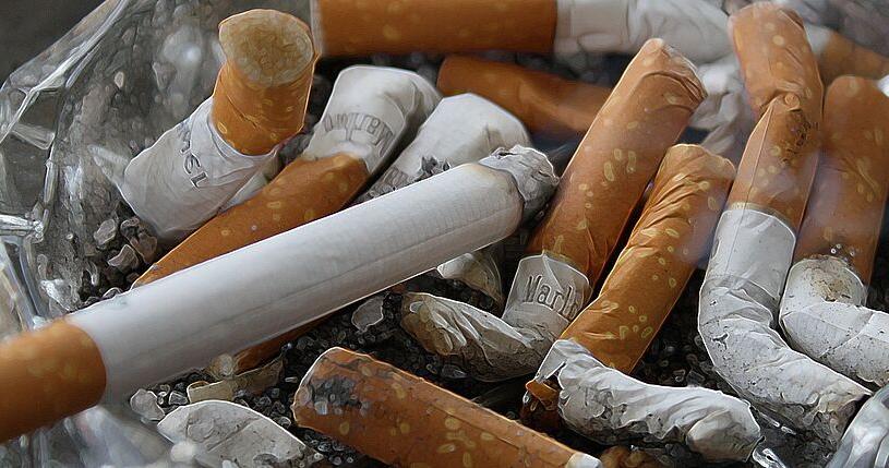 Swiss Mégo développe une filière de recyclage des mégots en Suisse