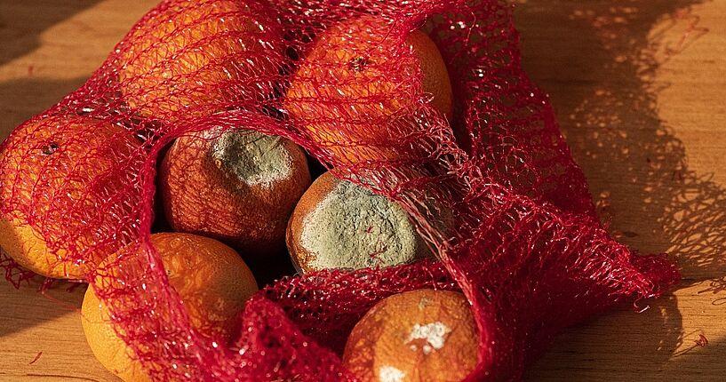 United Against Waste et foodwaste.ch lancent la Semaine contre le gaspillage